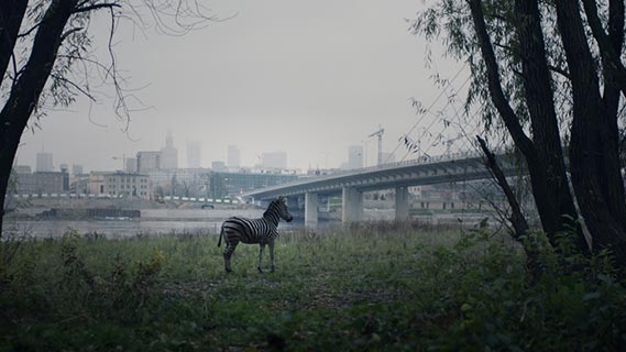 Fotogramma da Of Animals and Men