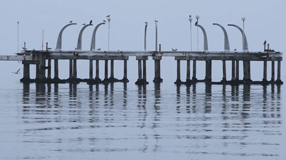 Fotogramma da Studio2091 - A venetian story
