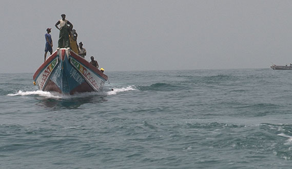 Fotogramma da Golden Fish, African Fish