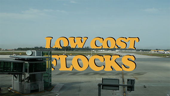 Fotogramma da Low Cost Flocks
