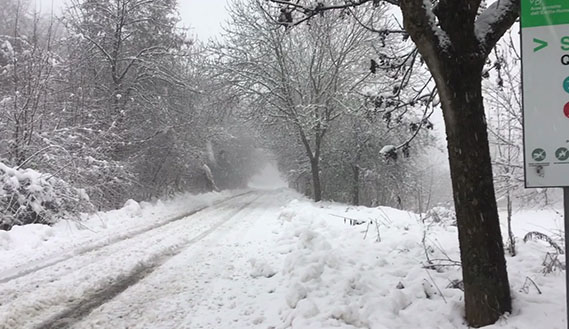 Fotogramma da Un viaggio e una scoperta